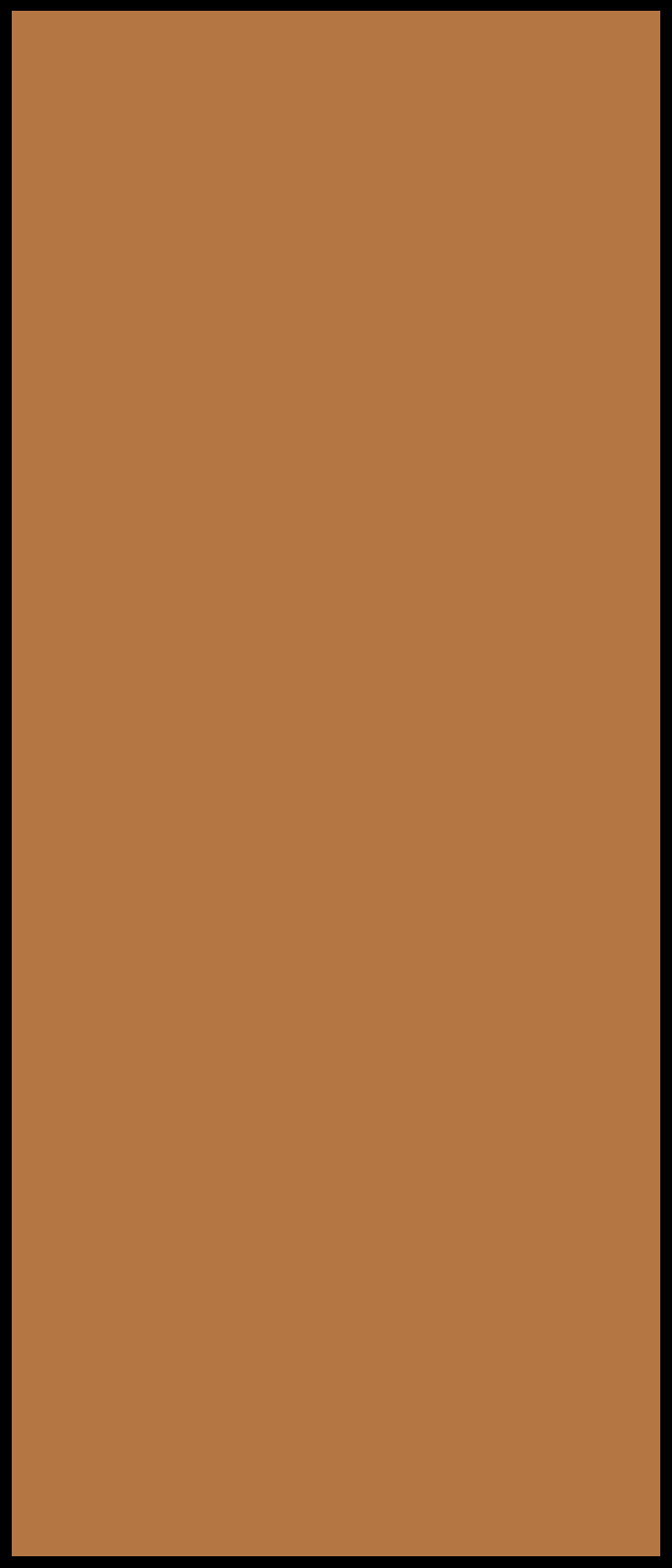 Standard Flush Wood Door